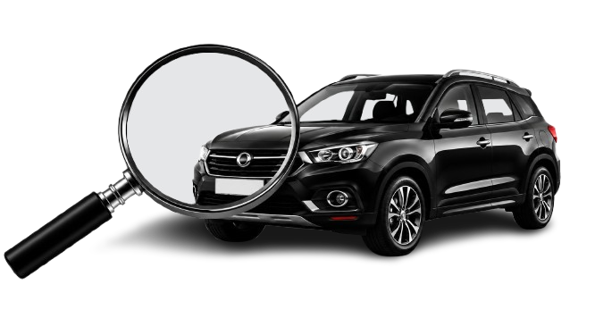 Professional EV Car Expert Inspector